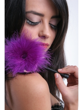 Plumero marabú morado