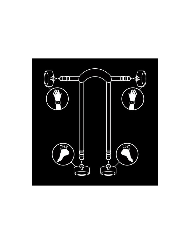 Submissive posición master con 4 esposas fetish