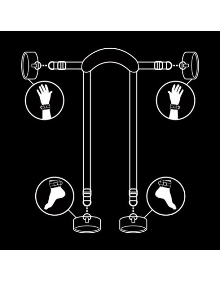 Submissive posición master con 4 esposas fetish