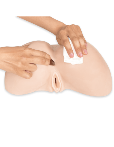 SILEXD Daphne el culo masturbador más realista