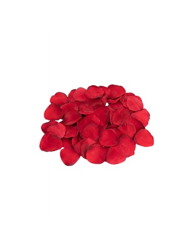 The secrets of love panty play kit amour